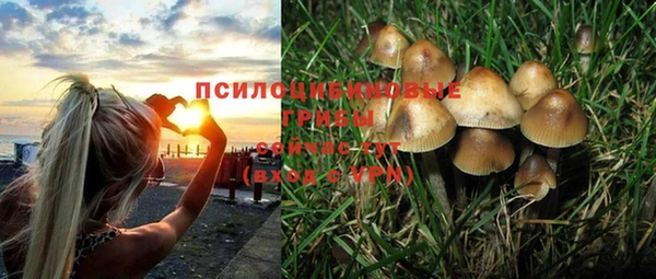 прущий лед Верея